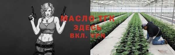 тгк Алзамай