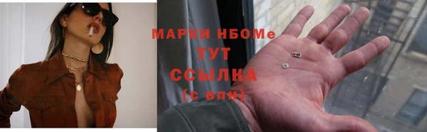 тгк Алзамай