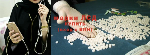 тгк Алзамай
